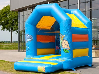 Inflatable Bouncer IB-5